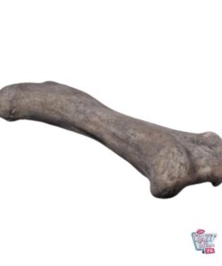 Dinosaur bone