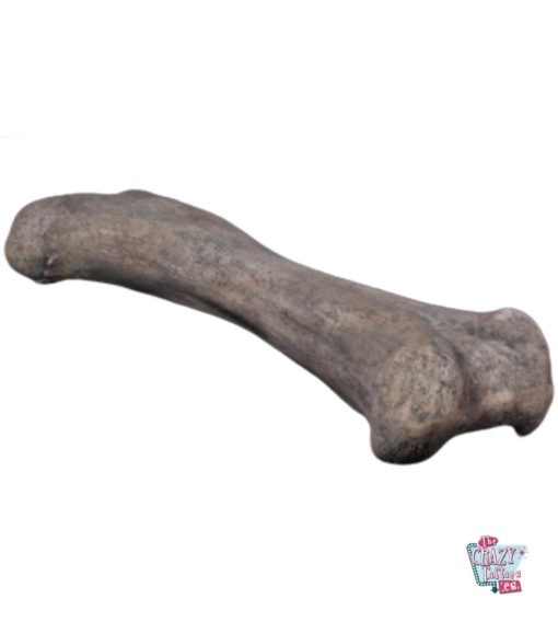 Dinosaur bone