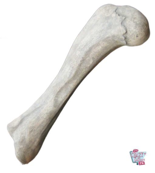 Dinosaur bone