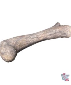 Dinosaur bone