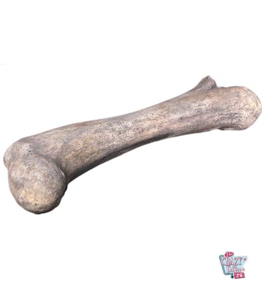 Dinosaur bone