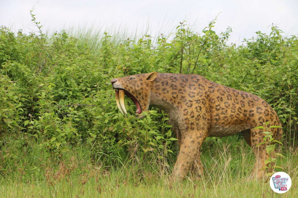 Tigre dai denti a sciabola