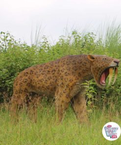 Tigre Dientes de sable