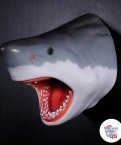 Figure Décoration Tête Requin Blanc Moyen A