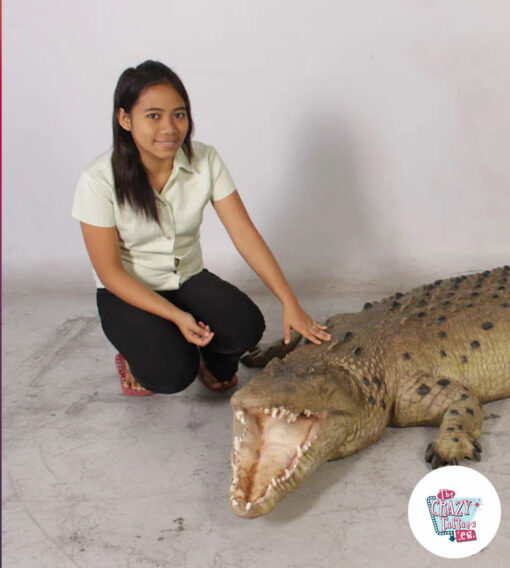 Figura Decoração Crocodilo comparativo