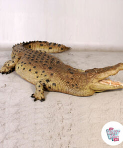 Figura Decoração Crocodilo esquerda