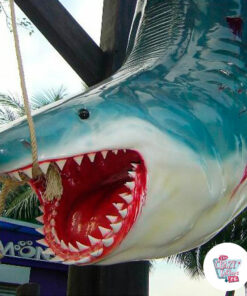Figura Decoración Tiburón Blanco Colgado cabeza