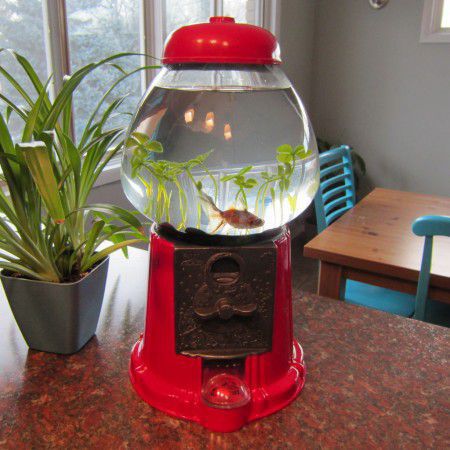 Make a fishbowl with gumball machine Retro